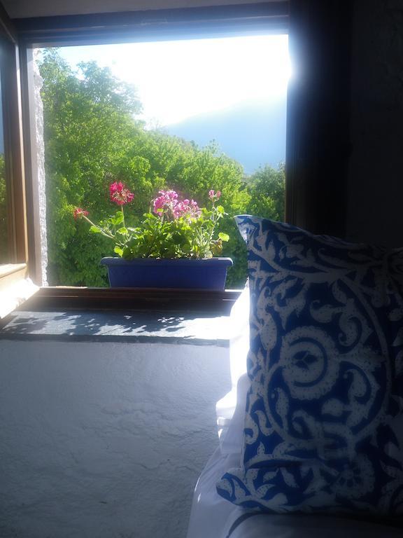 La Casa De La Bombilla Verde Trevelez Room photo
